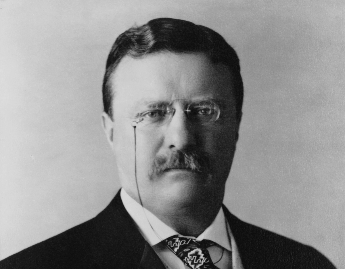 theodore roosevelt