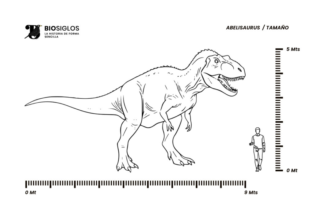 Abelisaurus size