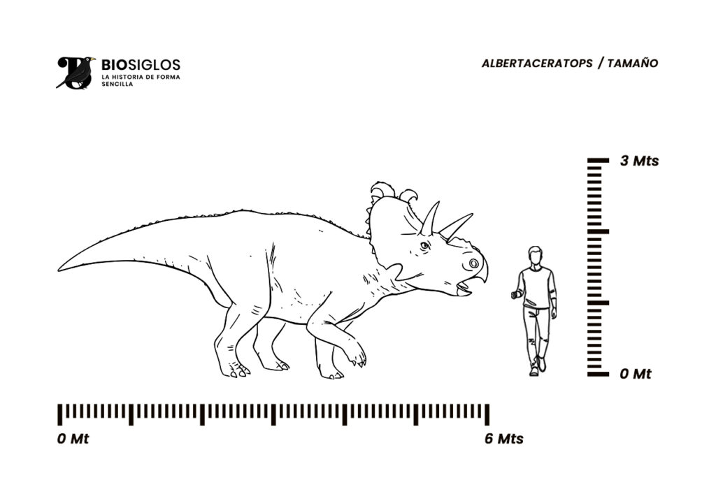 Albertaceratops tamaño