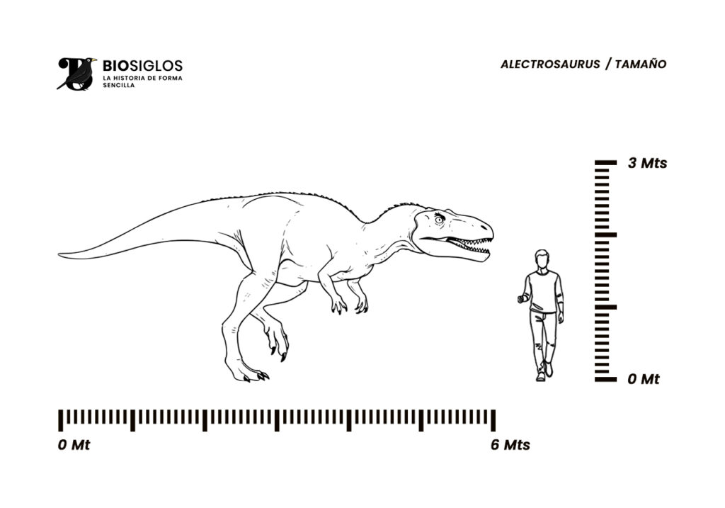 Alectrosaurus tamaño