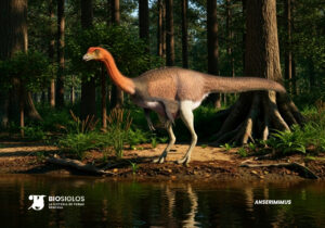 Anserimimus
