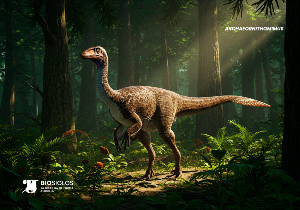 Archaeornithomimus