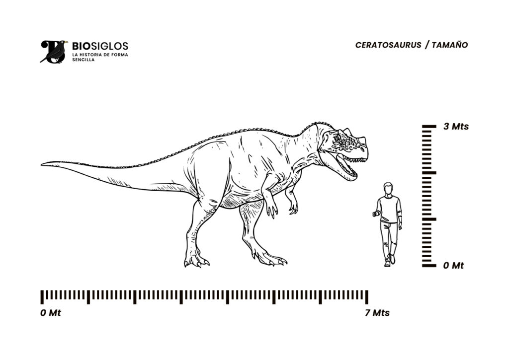 Ceratosaurus tamaño