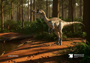 Coelophysis